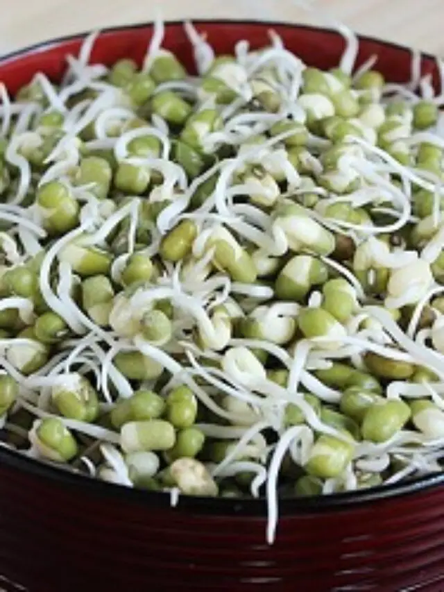 mung-bean-sprout